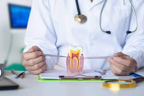 Best Emergency Root Canal Treatment in Johnson City, TN